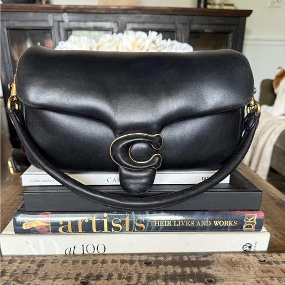 Coach Pillow Tabby - Picture 1 of 10